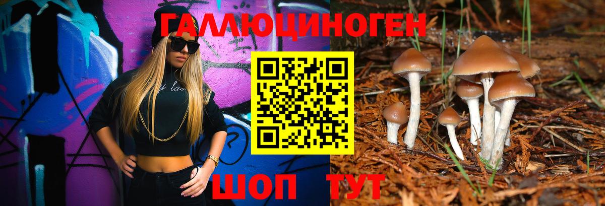 Сосновоборск  Псилоцибиновые грибы Psilocybe  Вход с VPN  Псилоцибиновые грибы прущие грибы 